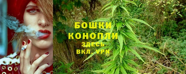 амф Беломорск