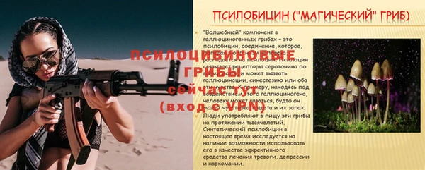 амф Беломорск