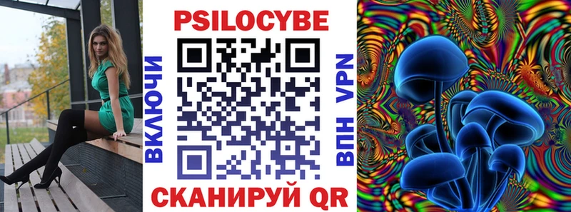 закладки  Шатура  МЕГА вход  Псилоцибиновые грибы ЛСД 